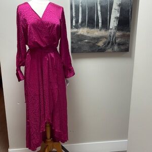 NWT Elegant Magenta Long Sleeve Dress